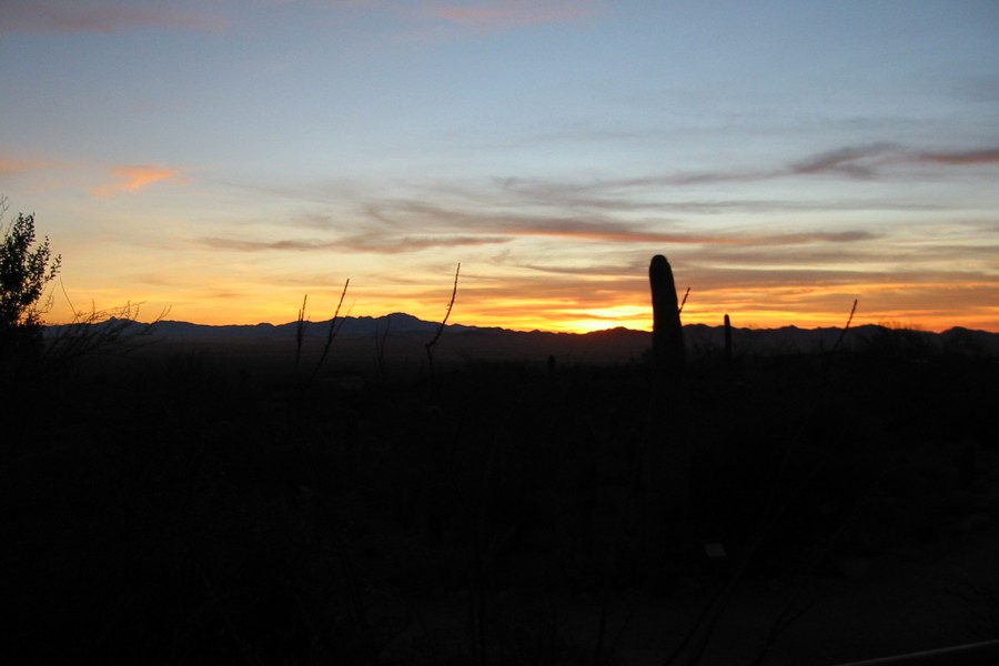 ../image/sunset at desert museum 4.jpg